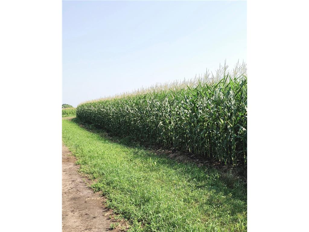 TBD County 36 Long Prairie MN 56347 7005026 image3