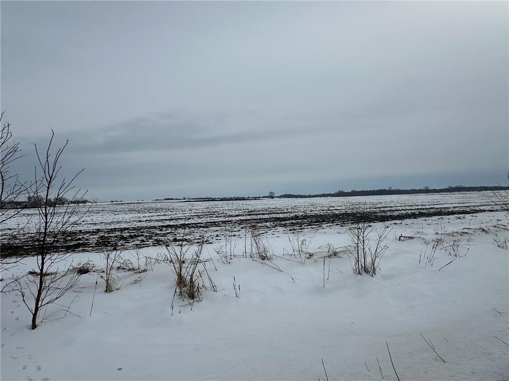 TBD County 36 Long Prairie MN 56347 7005026 image8