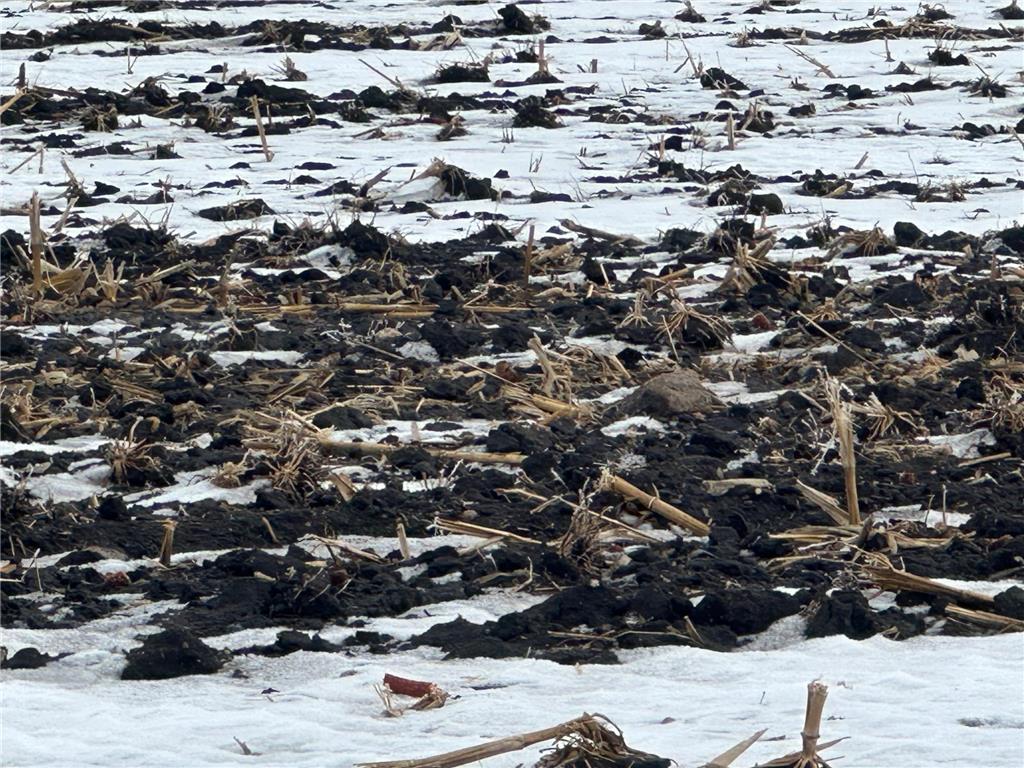 TBD County 36 Long Prairie MN 56347 7005026 image9