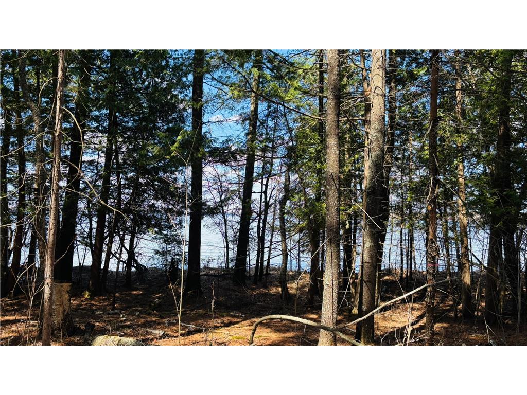 TBD County 37 Laporte MN 56461 - Kabekona Lake 7068650 image4