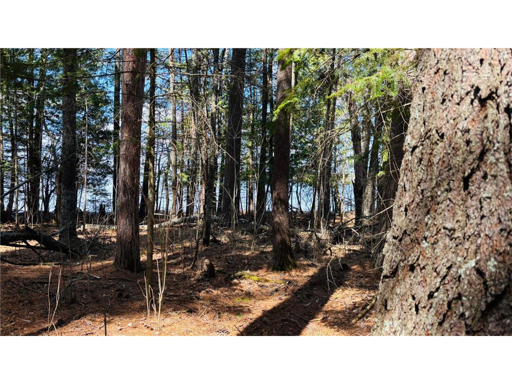 TBD County 37 Laporte MN 56461 - Kabekona Lake 7068650 image5