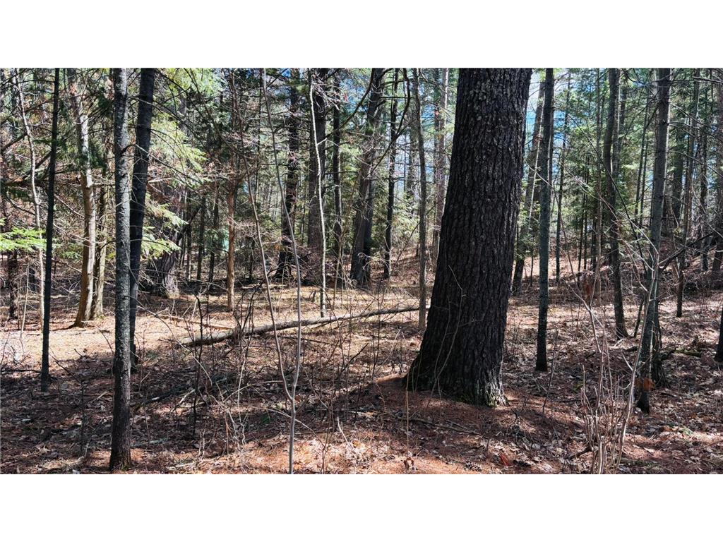 TBD County 37 Laporte MN 56461 - Kabekona Lake 7068650 image6