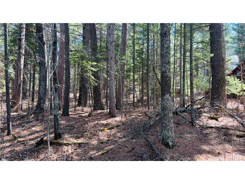 TBD County 37 Laporte MN 56461 - Kabekona Lake 7068650 image7