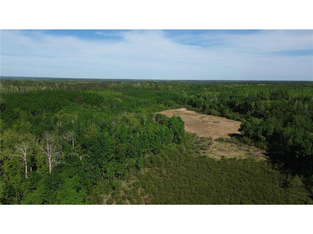 TBD County 4 Lake Emma Twp MN 56470 7084288 image1