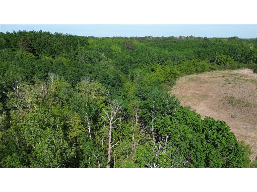 TBD County 4 Lake Emma Twp MN 56470 7084288 image2