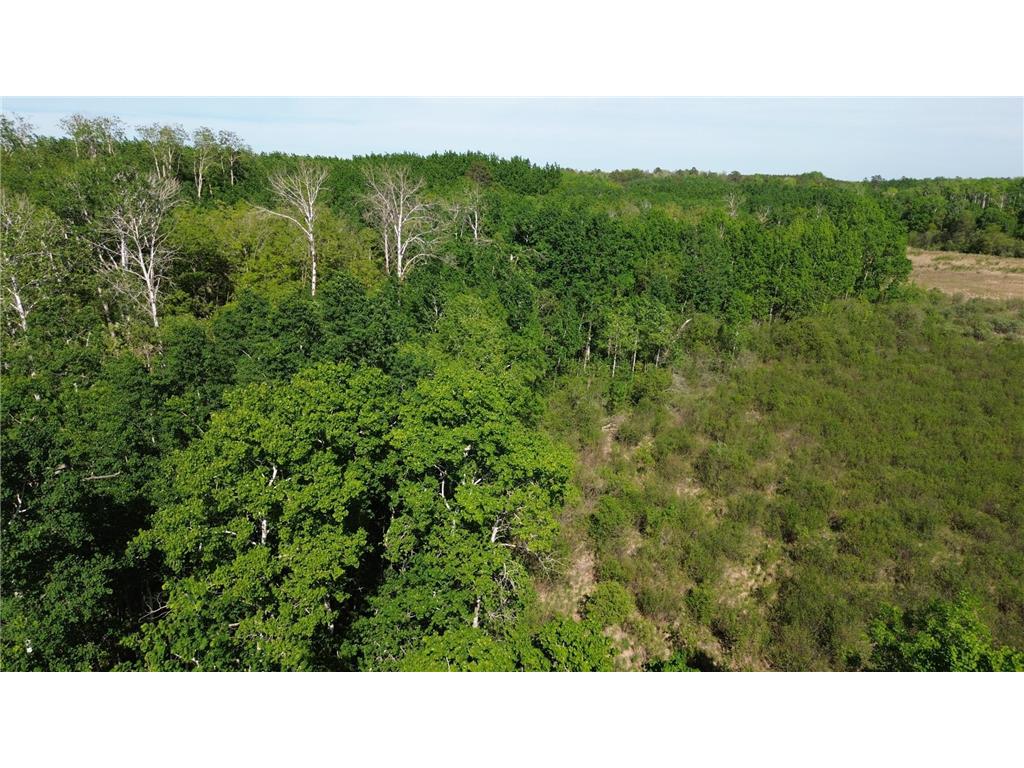 TBD County 4 Lake Emma Twp MN 56470 7084288 image3