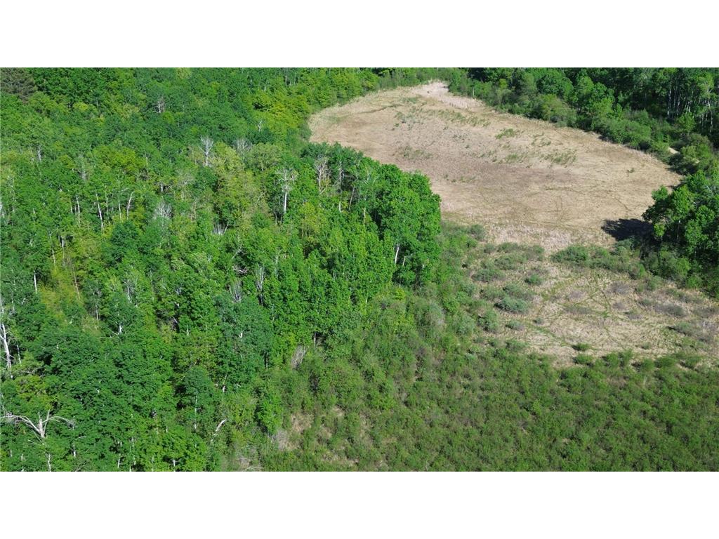 TBD County 4 Lake Emma Twp MN 56470 7084288 image4