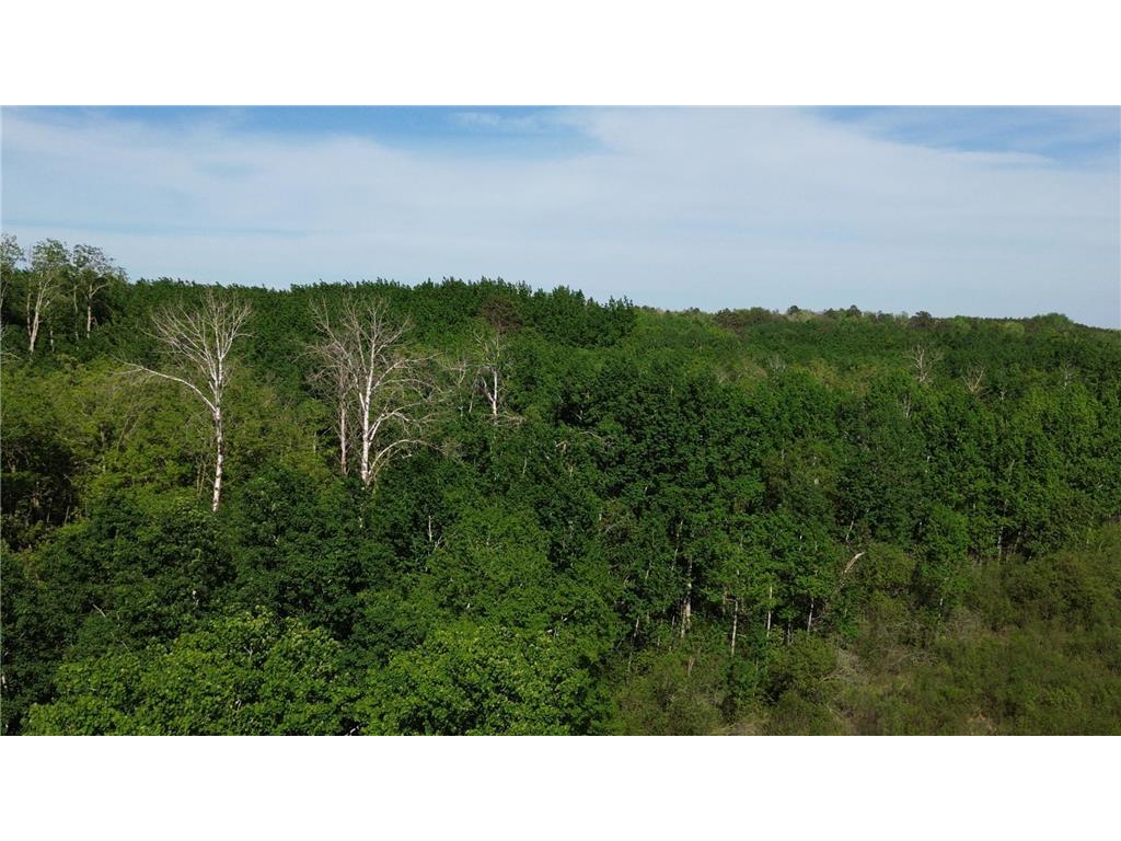 TBD County 4 Lake Emma Twp MN 56470 7084288 image5