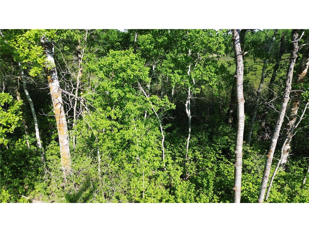 TBD County 4 Lake Emma Twp MN 56470 7084288 image9