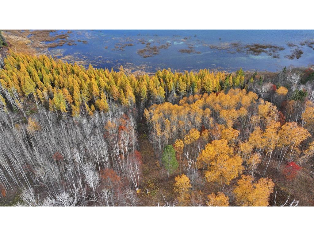 TBD County 4 - Lot 10 Lake George MN 56458 - George Lake 6619974 image6