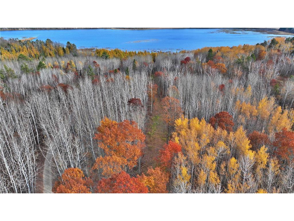 TBD County 4 - Lot 9 Lake George MN 56458 - George Lake 6619972 image12