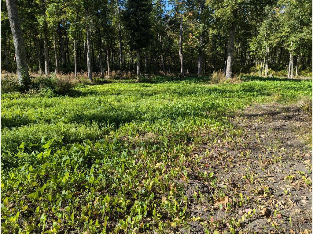 TBD County 47 NE Longville MN 56655 6693059 image1