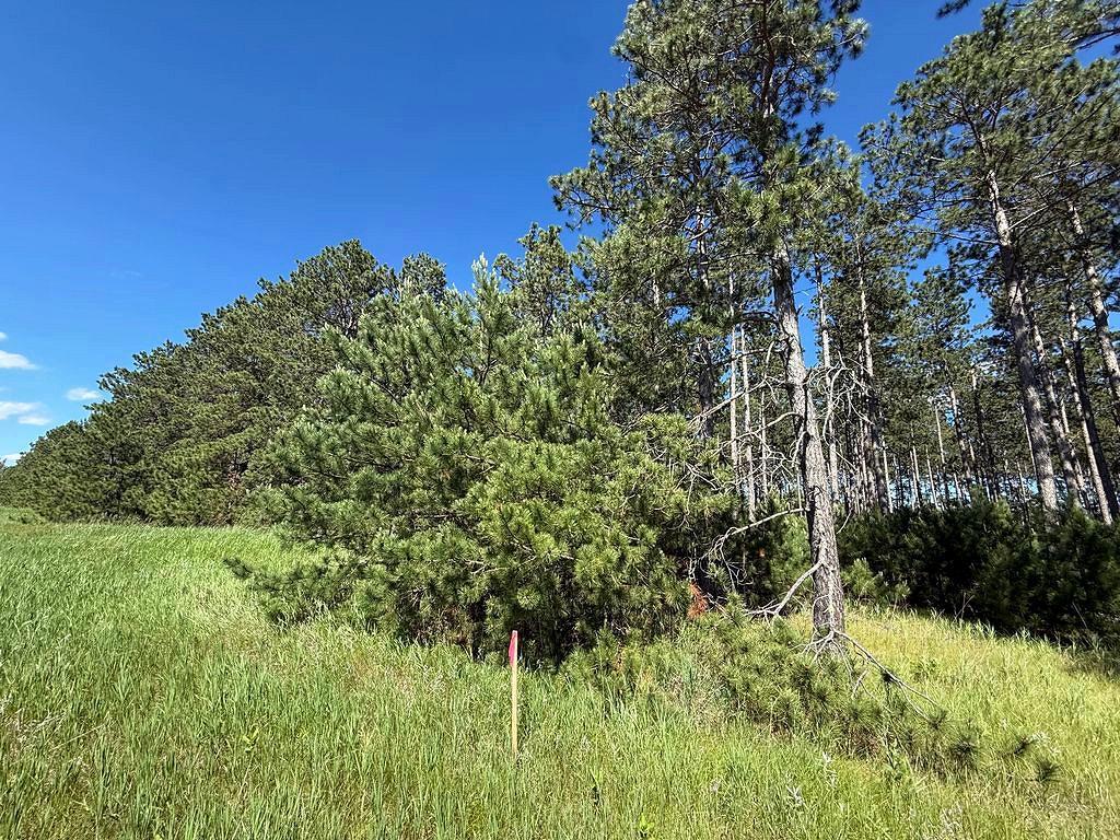 TBD County 48 Park Rapids MN 56470 7104056 image10