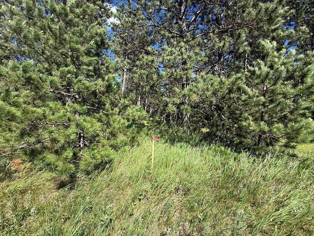 TBD County 48 Park Rapids MN 56470 7104056 image11