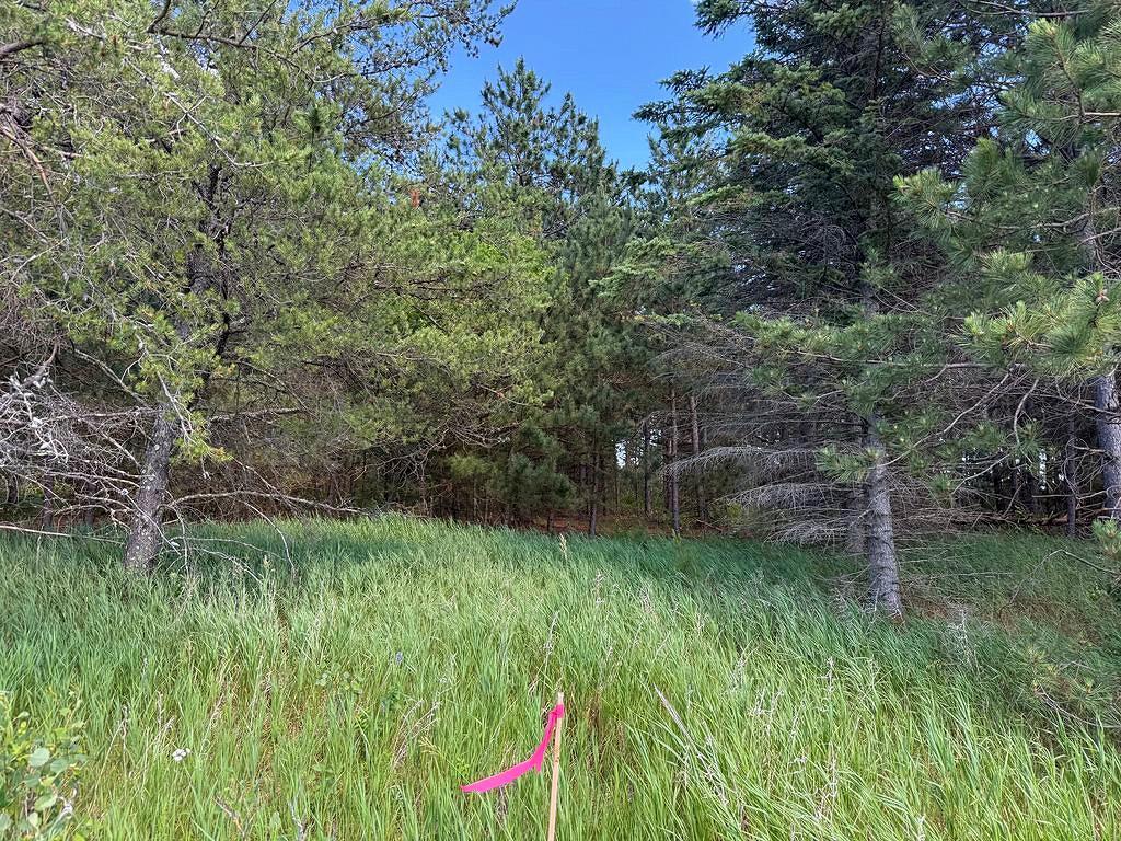 TBD County 48 Park Rapids MN 56470 7104056 image12