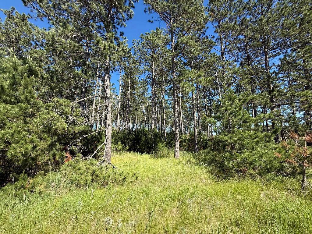 TBD County 48 Park Rapids MN 56470 7104056 image14