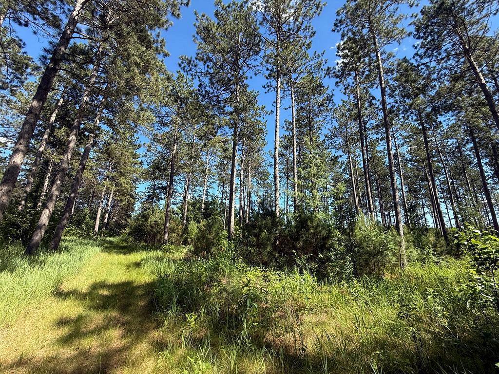 TBD County 48 Park Rapids MN 56470 7104056 image16