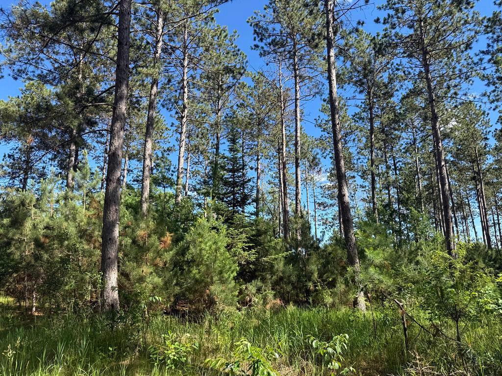 TBD County 48 Park Rapids MN 56470 7104056 image17