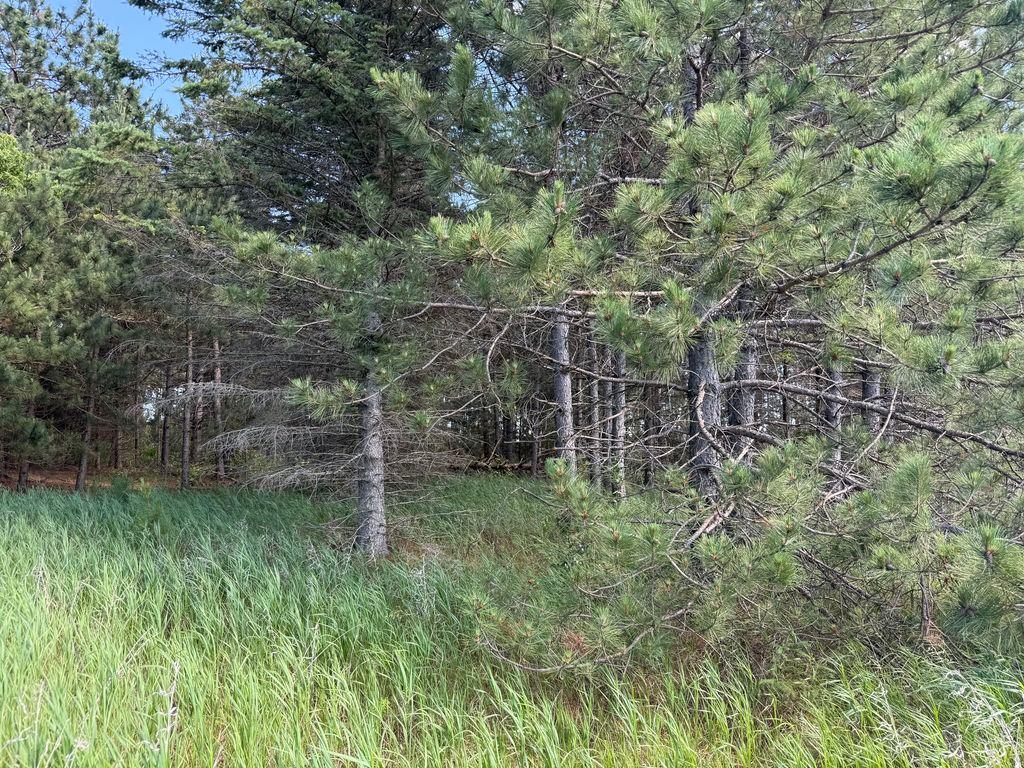 TBD County 48 Park Rapids MN 56470 7104056 image18