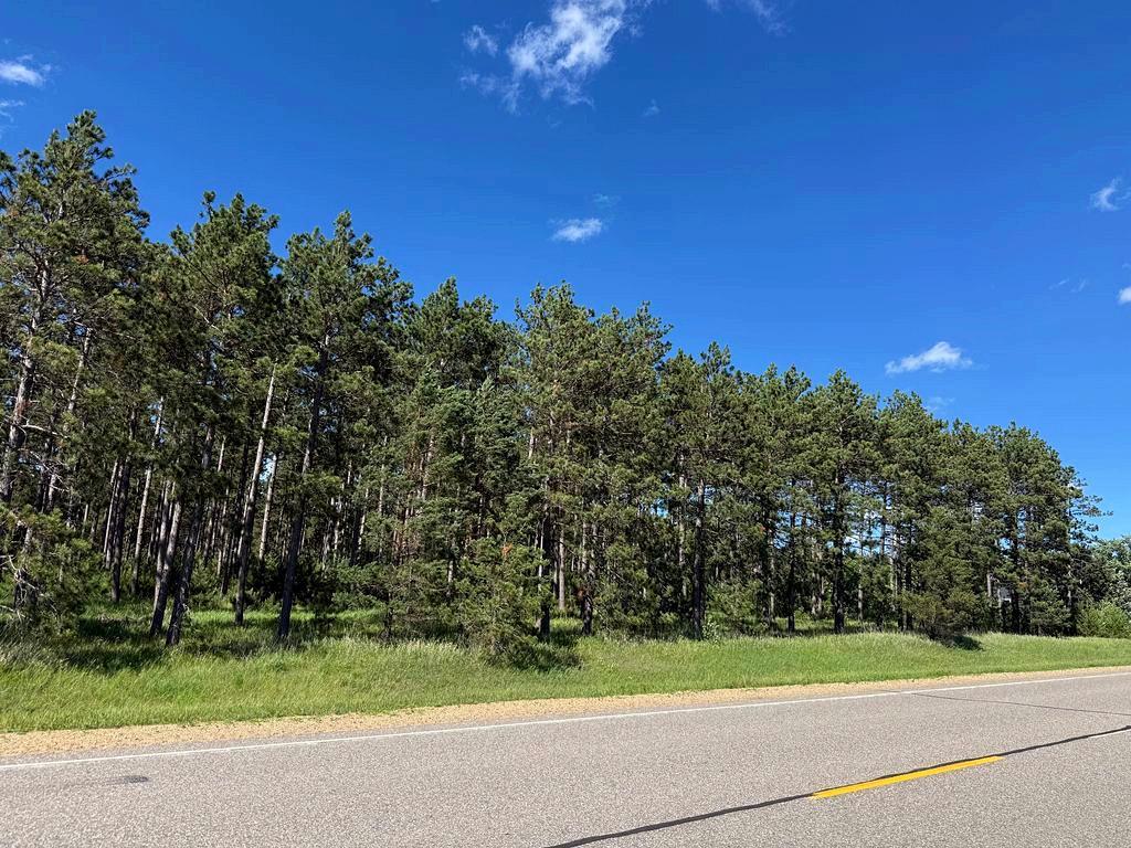 TBD County 48 Park Rapids MN 56470 7104056 image2