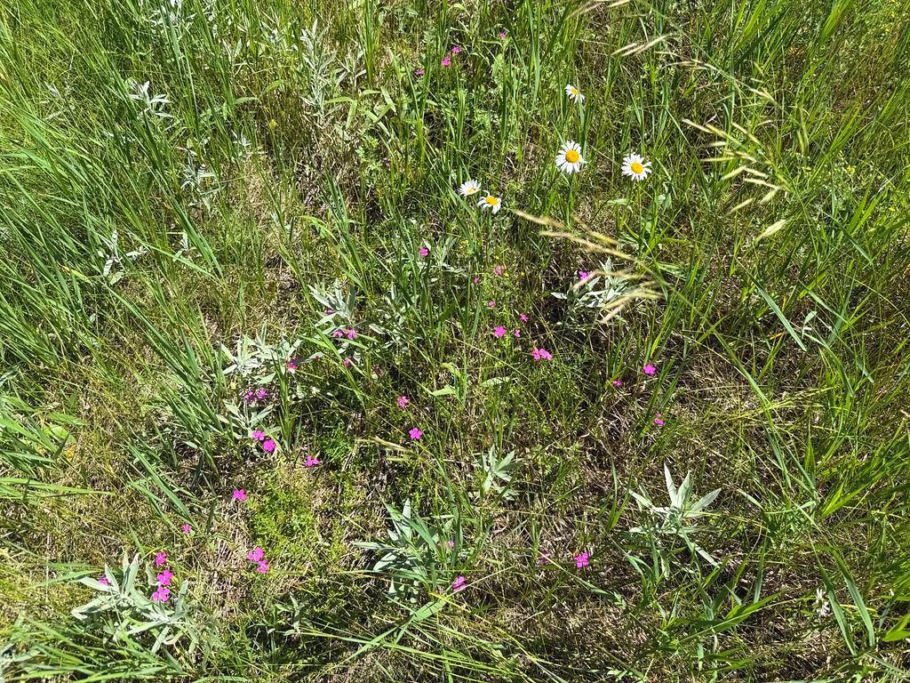 TBD County 48 Park Rapids MN 56470 7104056 image20