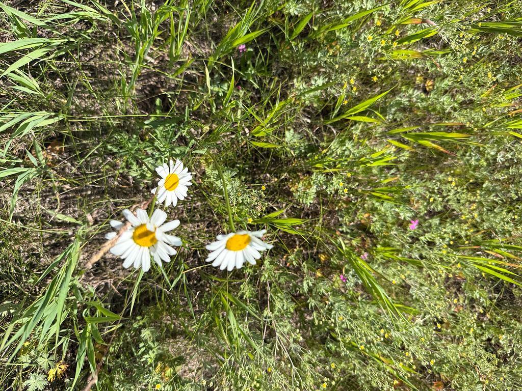 TBD County 48 Park Rapids MN 56470 7104056 image21