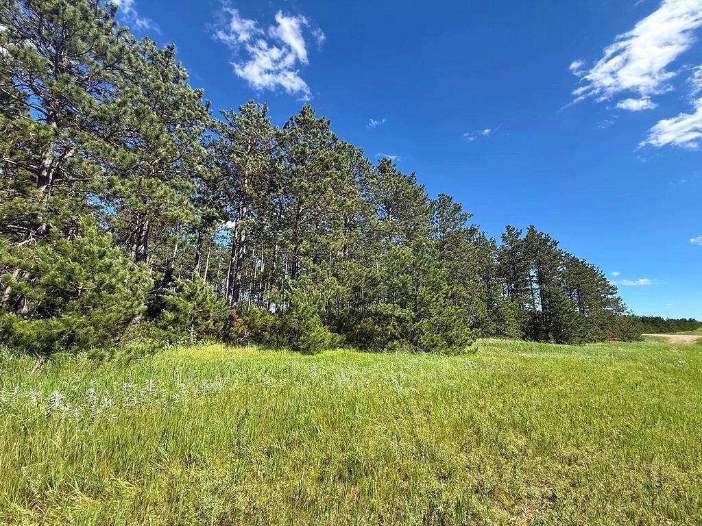 TBD County 48 Park Rapids MN 56470 7104056 image3