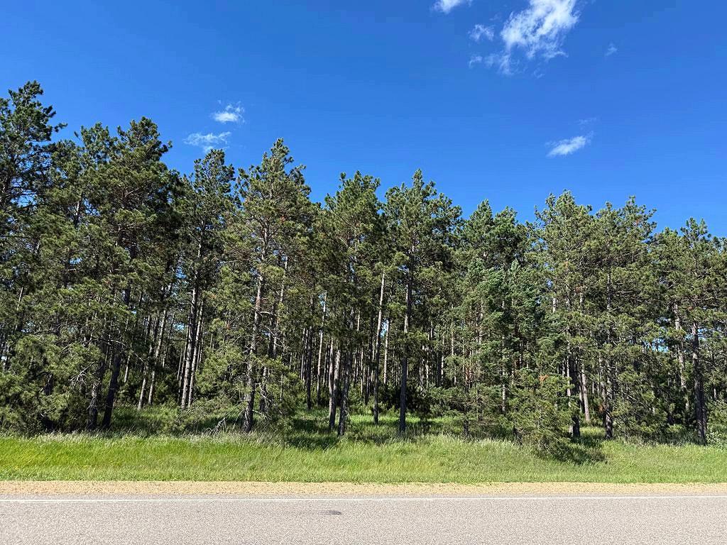 TBD County 48 Park Rapids MN 56470 7104056 image4