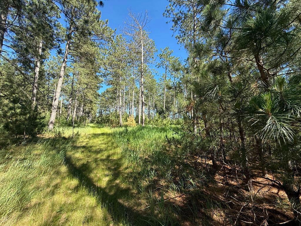 TBD County 48 Park Rapids MN 56470 7104056 image5