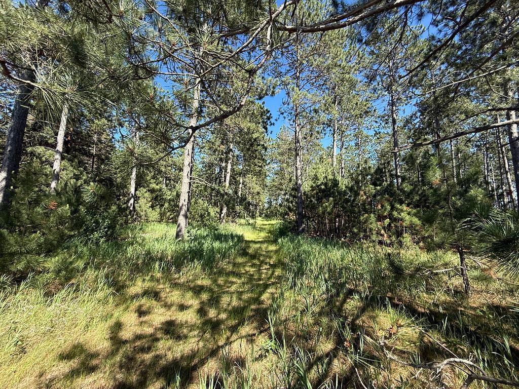 TBD County 48 Park Rapids MN 56470 7104056 image6