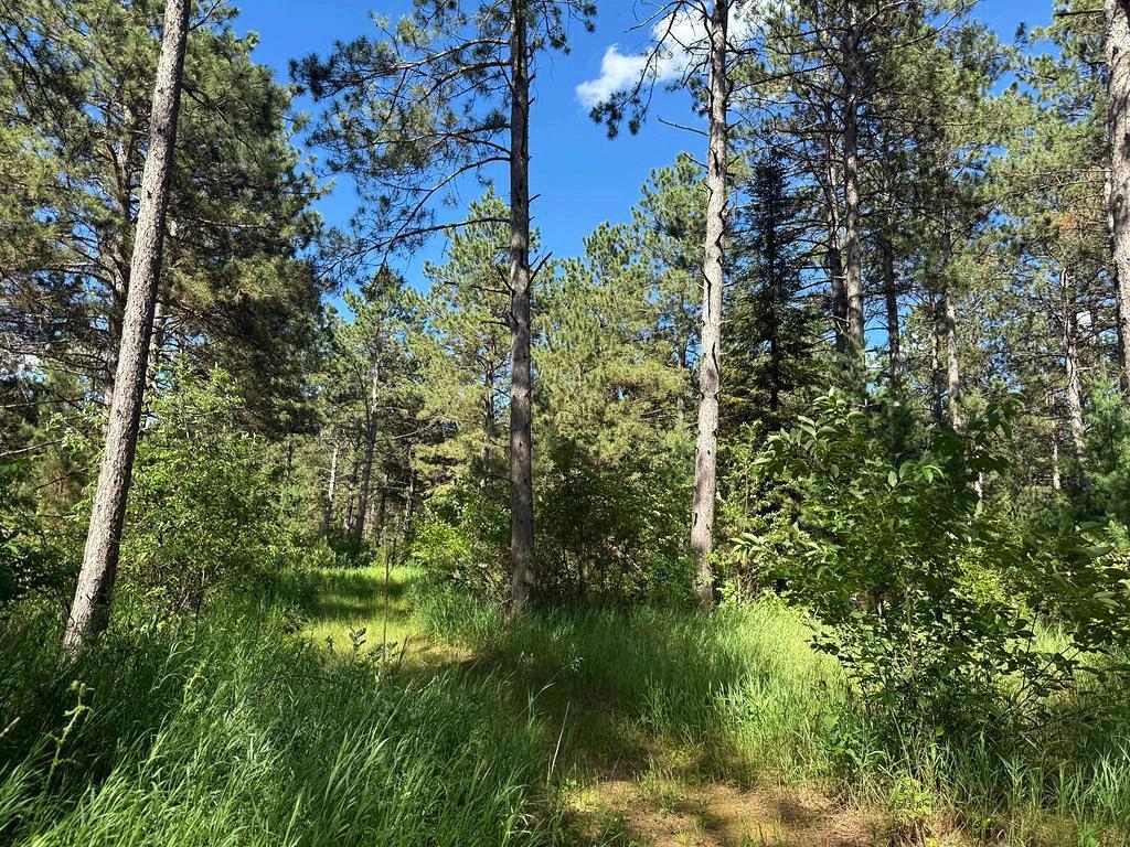 TBD County 48 Park Rapids MN 56470 7104056 image8