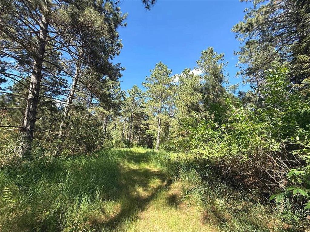 TBD County 48 Park Rapids MN 56470 7104056 image9