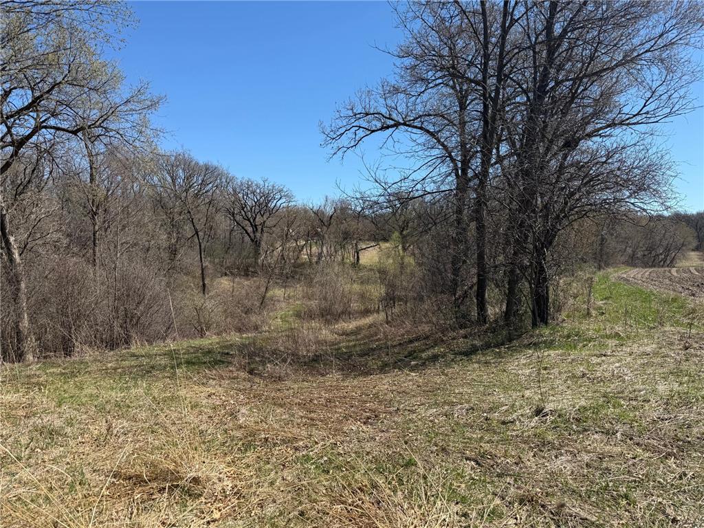 TBD County 49 Boulevard Dennison MN 55018 7056009 image1