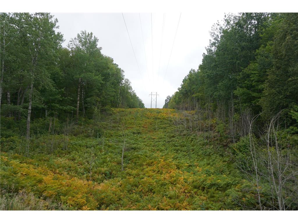 TBD County 5 Road Carlton MN 55718 6433221 image1