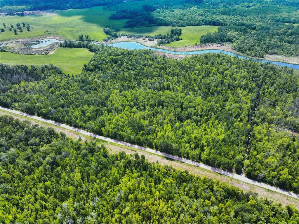 TBD County 52 NE Remer MN 56672 6732666 image1