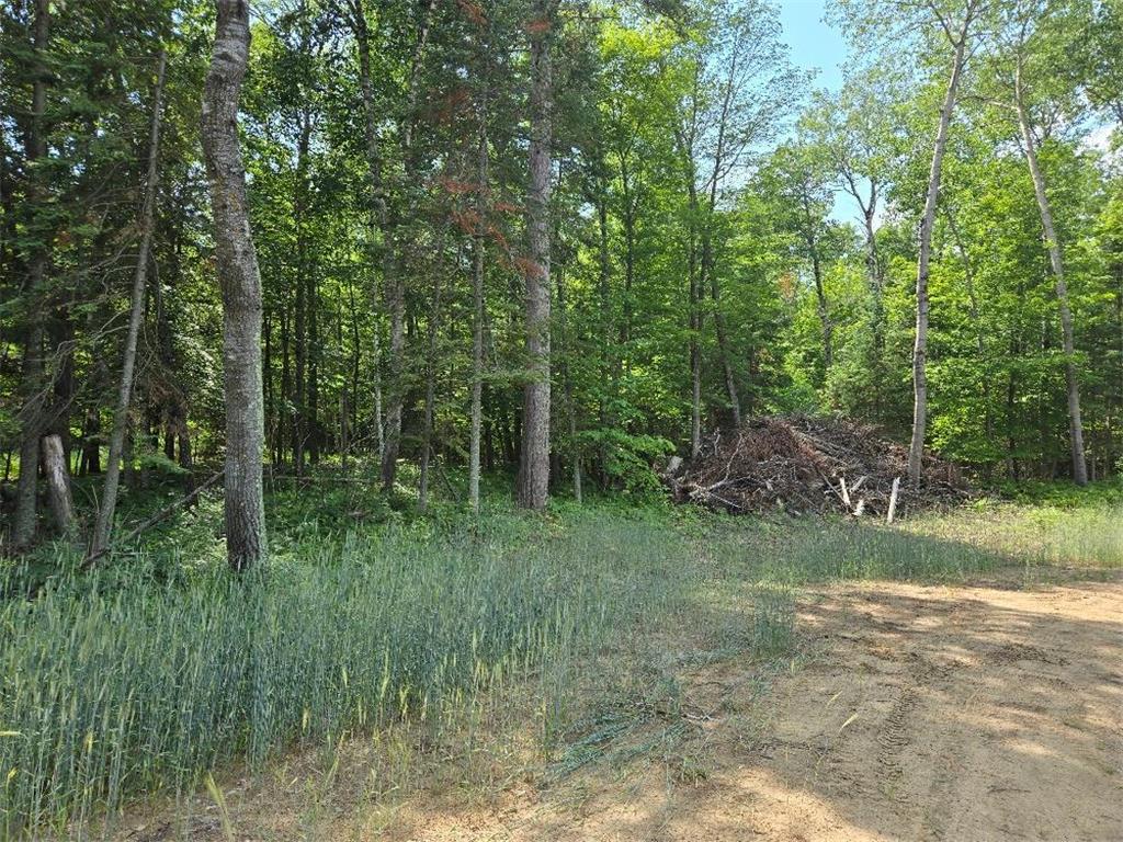 TBD County 54 NE Longville MN 56655 - Little Boy Lake 7105462 image2