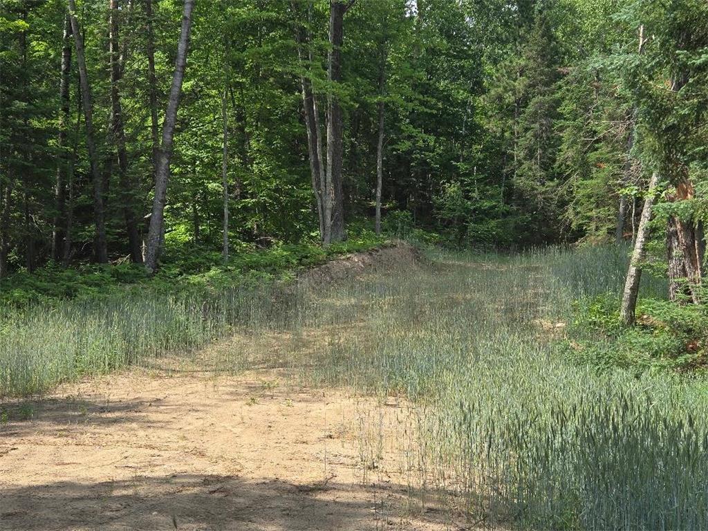 TBD County 54 NE Longville MN 56655 - Little Boy Lake 7105462 image3