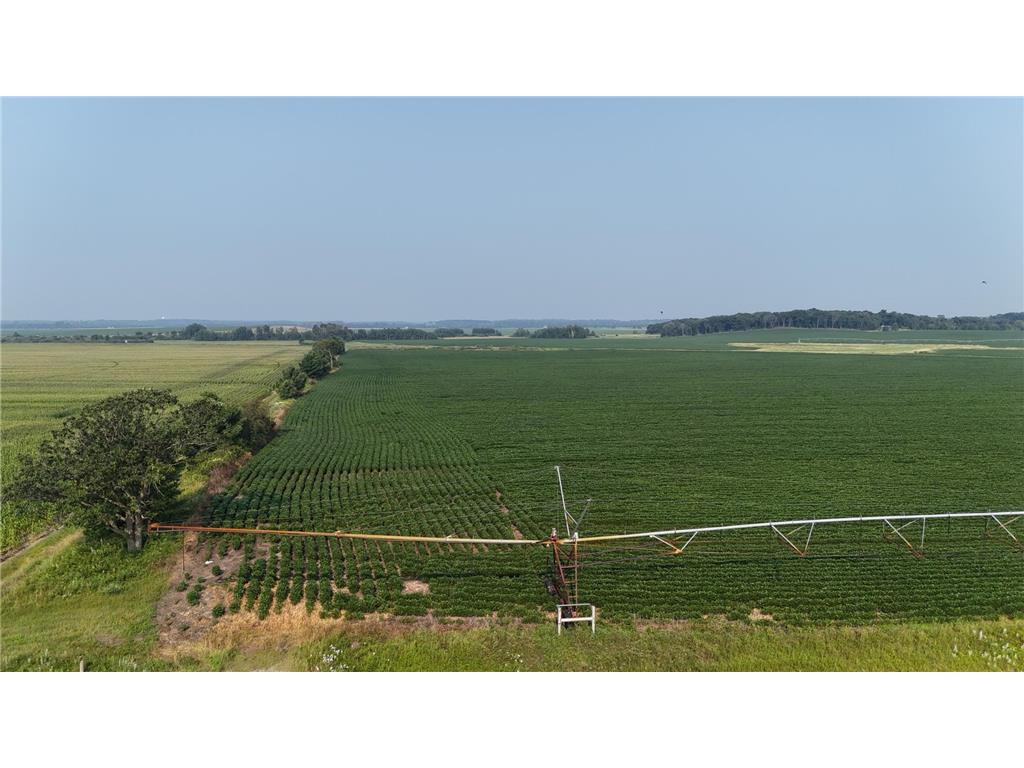 TBD County 61 Browerville MN 56438 6695793 image10