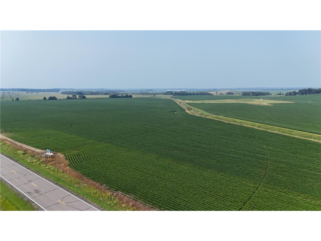 TBD County 61 Browerville MN 56438 6695793 image2