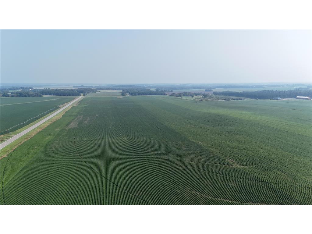 TBD County 61 Browerville MN 56438 6695793 image8