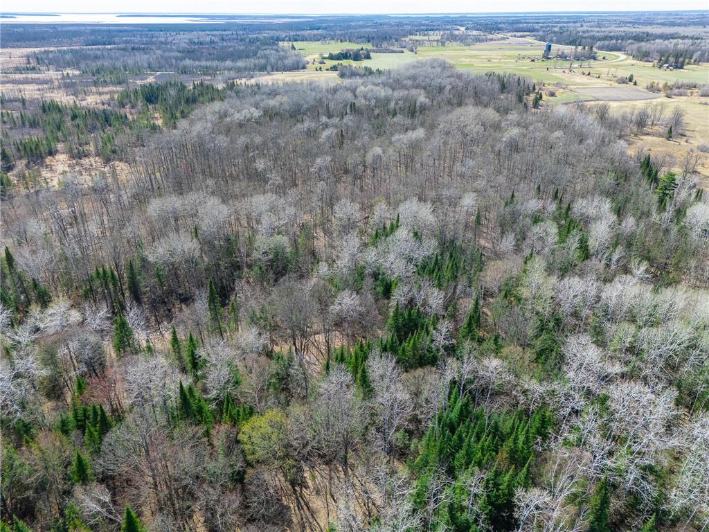 TBD County 63 Boy River MN 56672 7067248 image10