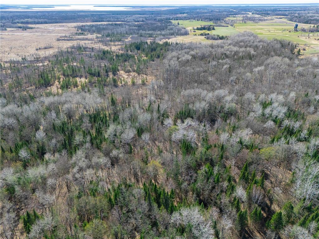 TBD County 63 Boy River MN 56672 7067248 image11