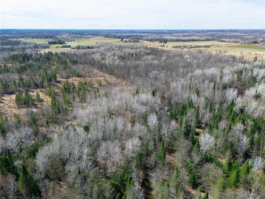 TBD County 63 Boy River MN 56672 7067248 image12