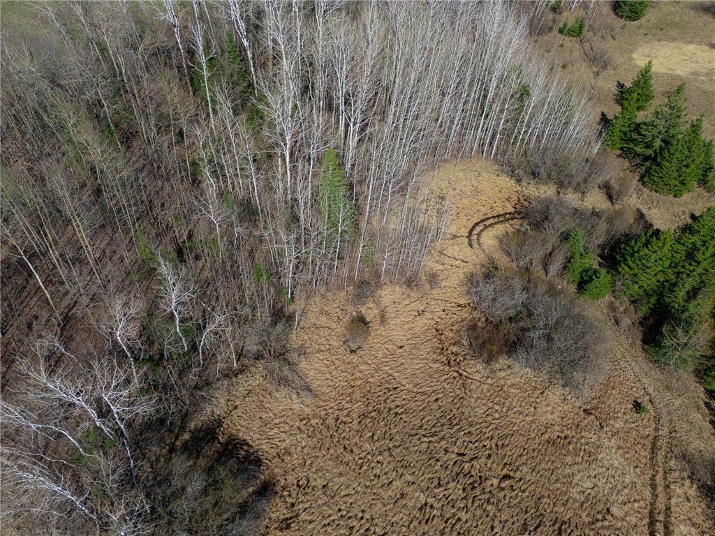 TBD County 63 Boy River MN 56672 7067248 image16
