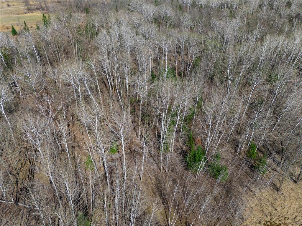 TBD County 63 Boy River MN 56672 7067248 image21