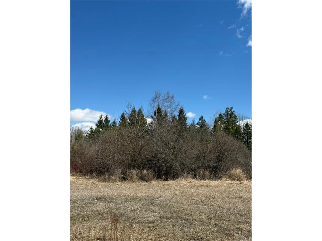 TBD County 63 Boy River MN 56672 7067248 image23