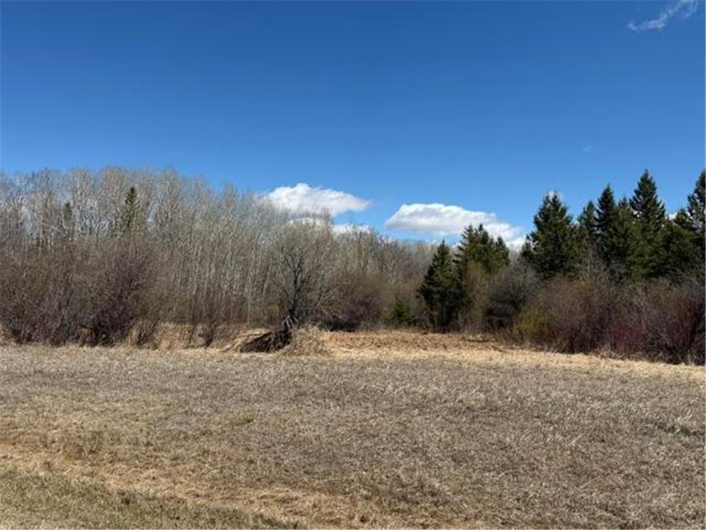 TBD County 63 Boy River MN 56672 7067248 image25