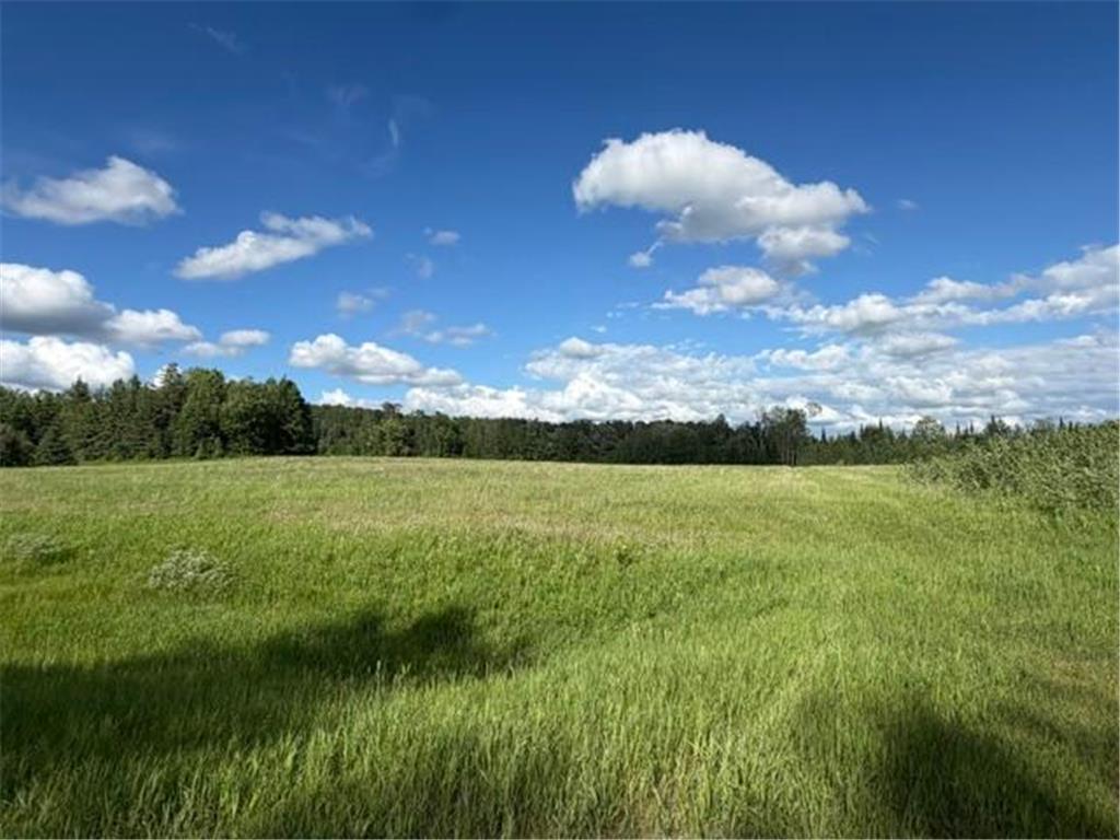 TBD County 63 Boy River MN 56672 7067248 image26