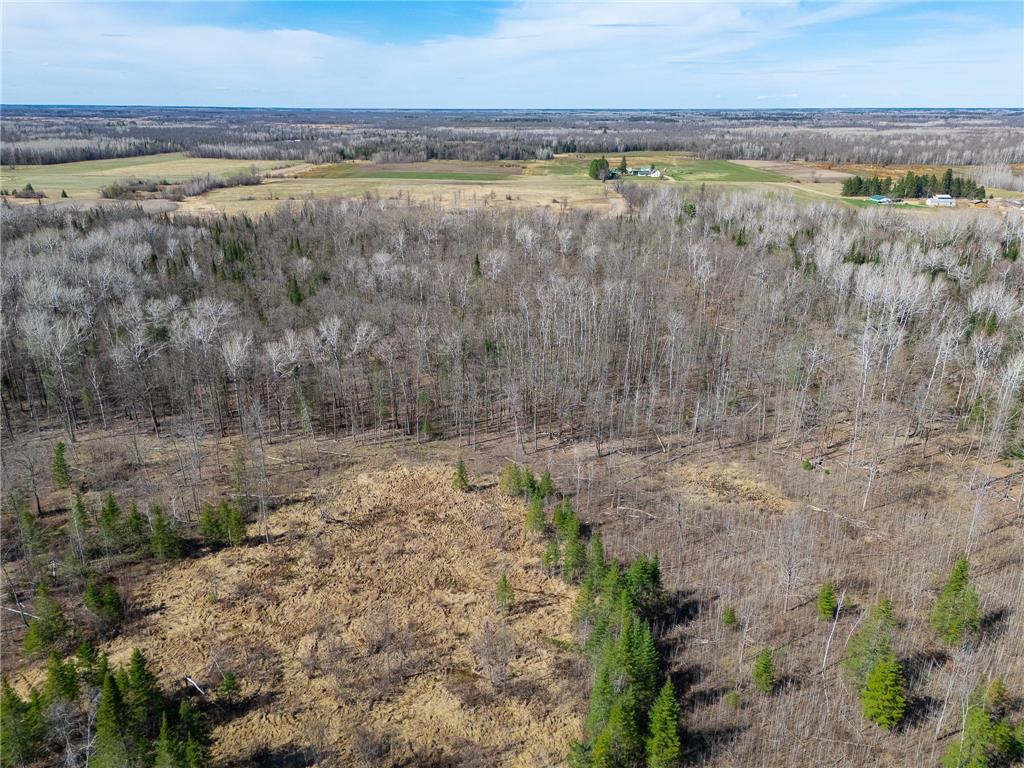 TBD County 63 Boy River MN 56672 7067248 image3