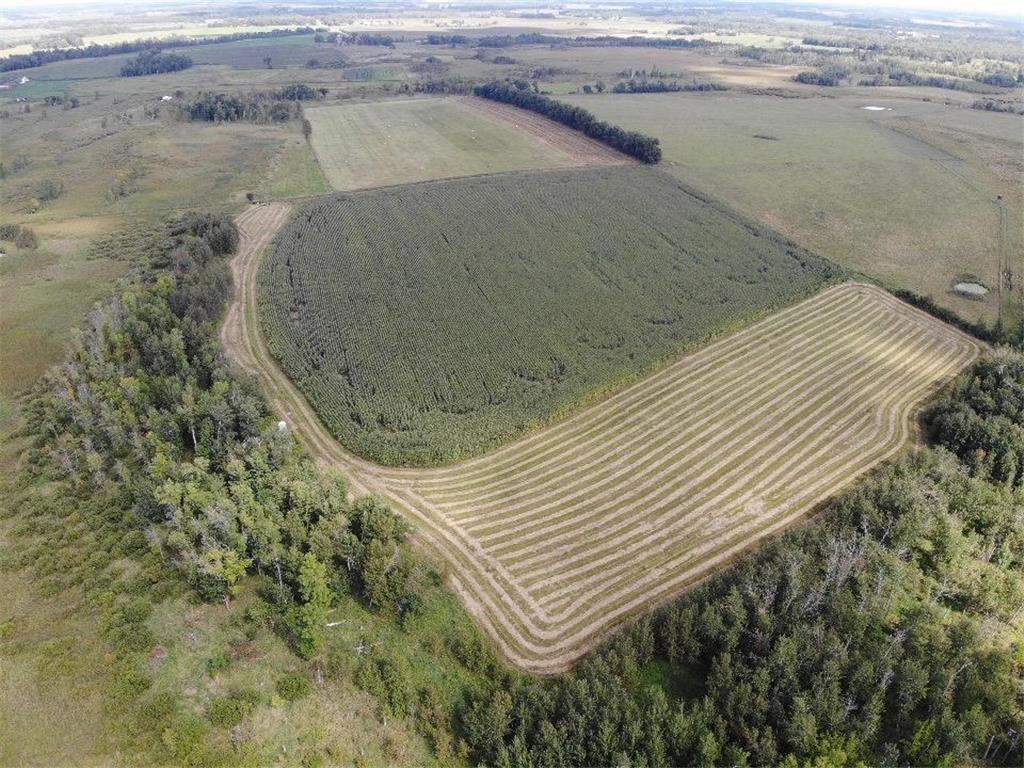 TBD County 77 Bartlett Twp MN 56481 6690525 image1